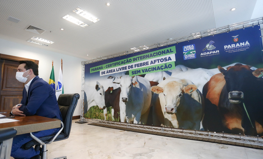 “Esse é o maior anúncio para o agronegócio paranaense nos últimos 50 anos”. Esse é o sentimento do governador Carlos Massa Ratinho Junior ao comemorar o novo status de área livre de febre aftosa sem vacinação, concedido pela Organização Mundial da Saúde Animal (OIE) nesta quinta-feira (27). Foto: Jonathan Campos/AEN
