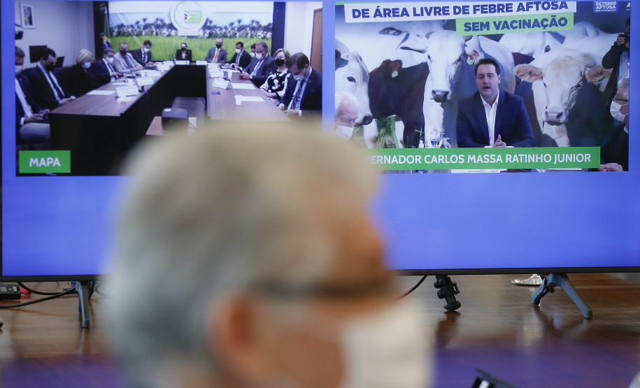 “Esse é o maior anúncio para o agronegócio paranaense nos últimos 50 anos”. Esse é o sentimento do governador Carlos Massa Ratinho Junior ao comemorar o novo status de área livre de febre aftosa sem vacinação, concedido pela Organização Mundial da Saúde Animal (OIE) nesta quinta-feira (27). Foto: Jonathan Campos/AEN