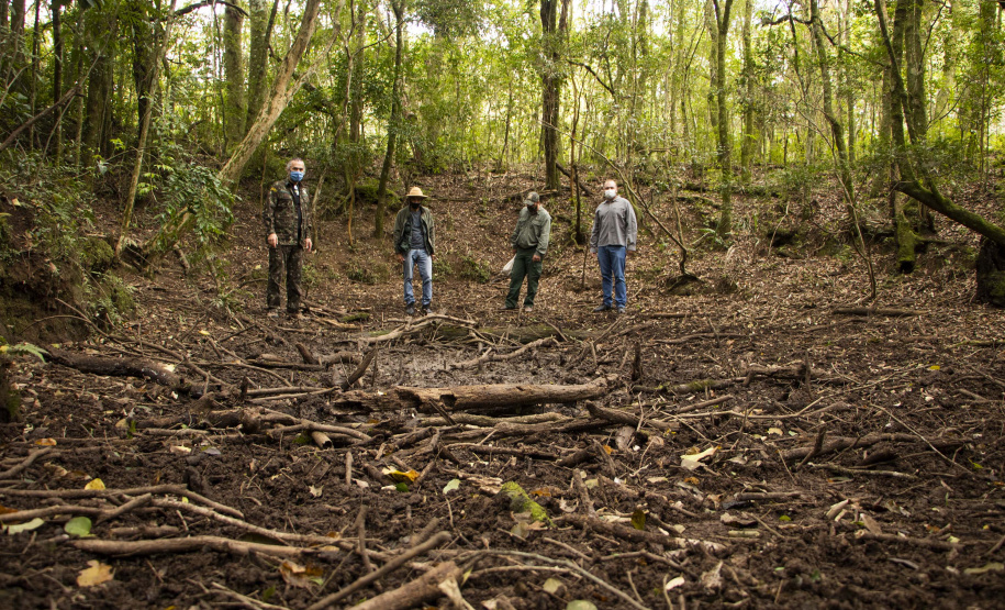 Unidades de Conservação contam com monitoramento de javalis
. Foto: Aline Jasper