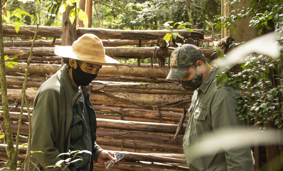 Unidades de Conservação contam com monitoramento de javalis
. Foto: Aline Jasper
