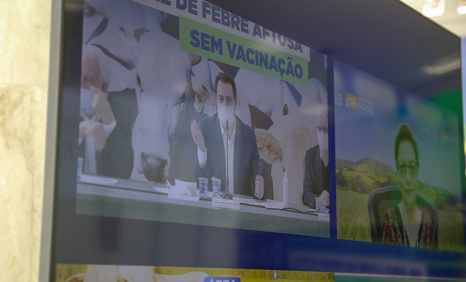 Governador Ratinho Junior destaca o reconhecimento internacional concedido ao Paraná como Área Livre de Febre Aftosa sem Vacinação.
Foto Gilson Abreu/AEN