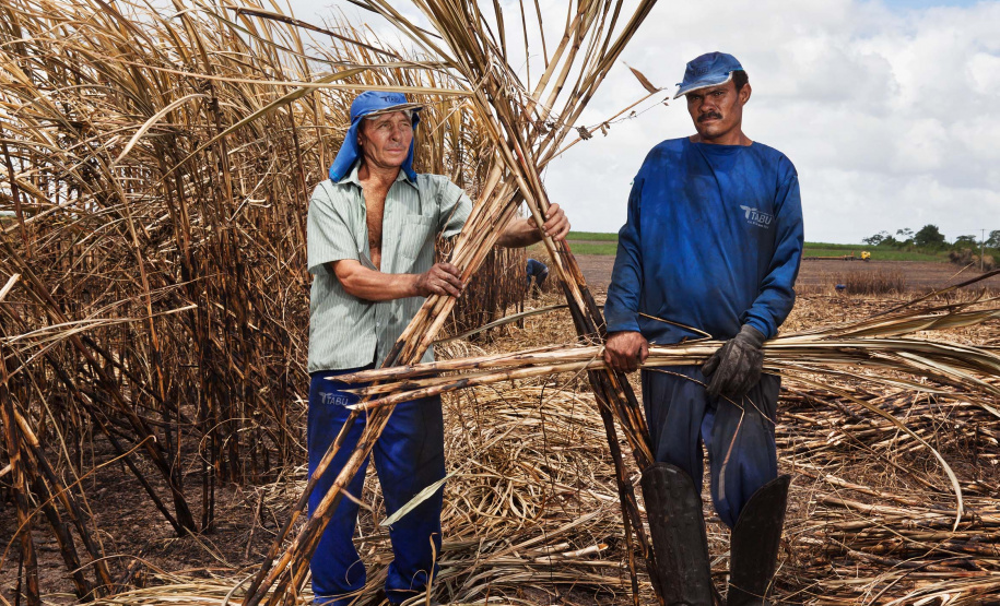 MUPA prorroga exposição realizada em parceria com Fundação Joaquim Nabuco (Recife - PE). Foto:Jonathas_de_Andrade
