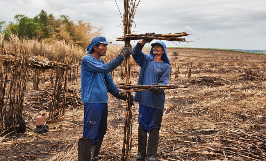 MUPA prorroga exposição realizada em parceria com Fundação Joaquim Nabuco (Recife - PE). Foto:Jonathas_de_Andrade