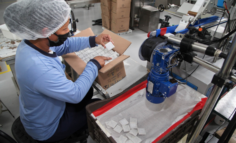 R.G.M.S No Paraná, 346 municípios fecharam o quadrimestre com saldos positivos na geração de emprego. Foto: Ari Dias/AEN