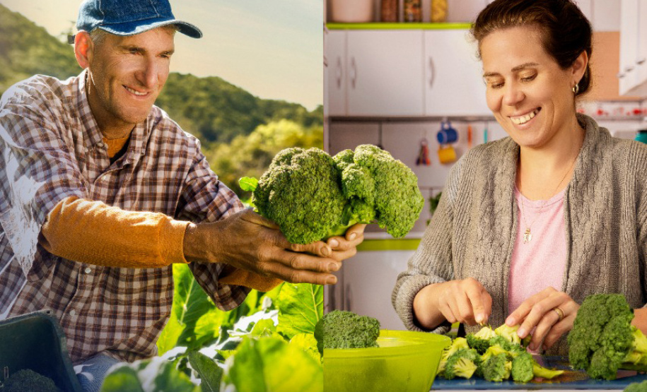 Para garantir alimentos com alto valor nutricional na mesa dos paranaenses, o Governo do Estado desenvolve ações em diversas frentes