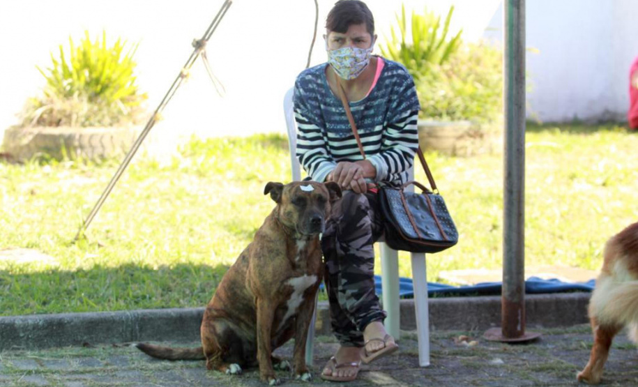 Equipes do Programa Permanente de Castração de Cães e Gatos (CastraPet), da Secretaria de Estado do Desenvolvimento Sustentável e do Turismo (Sedest), concluíram neste sábado (29) a castração de 719 animais em Piraquara. O Município é um dos últimos do ciclo que encerra no final de junho, com atendimento em 45 localidades e 15 mil pets castrados.  -  Piraquara, 29/05/2021  - Foto: Alessandro Vieira/AEN