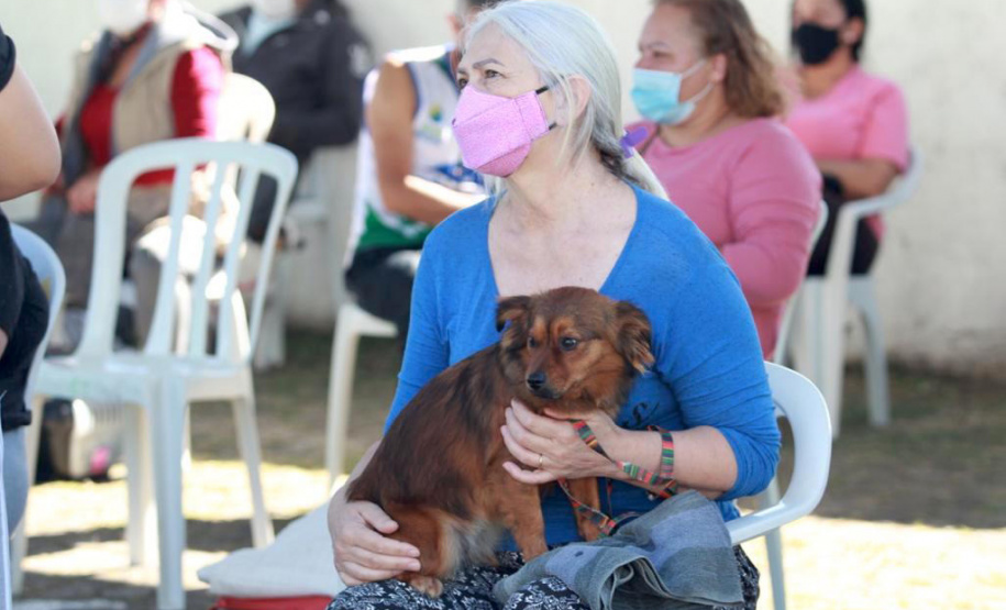 Equipes do Programa Permanente de Castração de Cães e Gatos (CastraPet), da Secretaria de Estado do Desenvolvimento Sustentável e do Turismo (Sedest), concluíram neste sábado (29) a castração de 719 animais em Piraquara. O Município é um dos últimos do ciclo que encerra no final de junho, com atendimento em 45 localidades e 15 mil pets castrados.  -  Piraquara, 29/05/2021  - Foto: Alessandro Vieira/AEN
