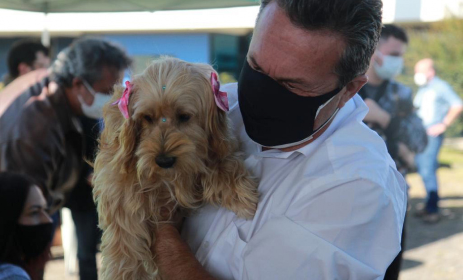 Equipes do Programa Permanente de Castração de Cães e Gatos (CastraPet), da Secretaria de Estado do Desenvolvimento Sustentável e do Turismo (Sedest), concluíram neste sábado (29) a castração de 719 animais em Piraquara. O Município é um dos últimos do ciclo que encerra no final de junho, com atendimento em 45 localidades e 15 mil pets castrados.  -  Piraquara, 29/05/2021  - Foto: Alessandro Vieira/AEN