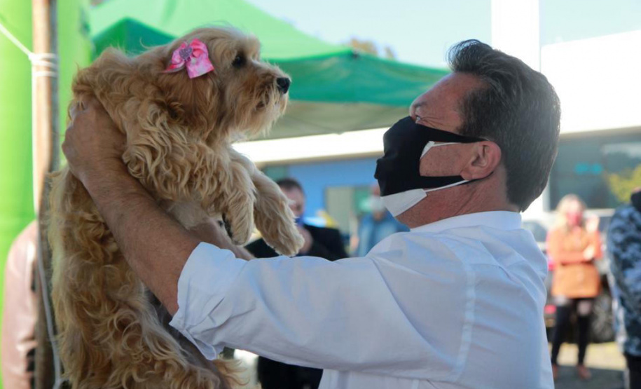 Equipes do Programa Permanente de Castração de Cães e Gatos (CastraPet), da Secretaria de Estado do Desenvolvimento Sustentável e do Turismo (Sedest), concluíram neste sábado (29) a castração de 719 animais em Piraquara. O Município é um dos últimos do ciclo que encerra no final de junho, com atendimento em 45 localidades e 15 mil pets castrados.  -  Piraquara, 29/05/2021  - Foto: Alessandro Vieira/AEN