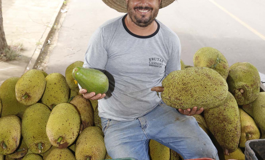 O Paraná tem jaca, e jaca em abundância, como revela um simples passeio pelas ruas de Altônia, na Região Noroeste