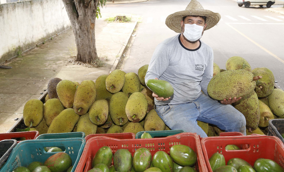 O Paraná tem jaca, e jaca em abundância, como revela um simples passeio pelas ruas de Altônia, na Região Noroeste
