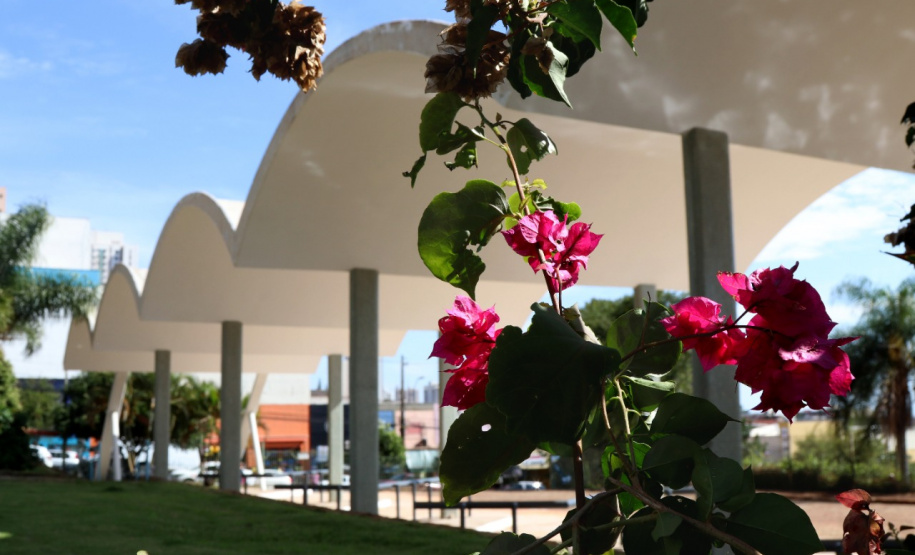 Tombamento pelo Patrimônio Nacional do Museu de Arte de Londrina. Este é o primeiro prédio do Norte do Estado a ser reconhecido com o Tombamento Nacional. - Curitiba, 31/05/2021 - Foto: Emerson Dias