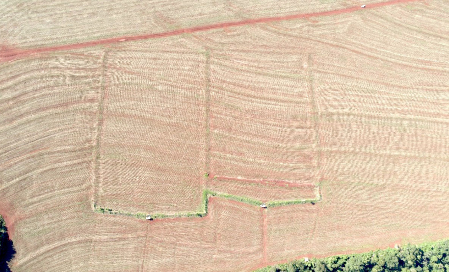 Monitoramento hidrossedimentológicos em microbacias hidrográficas ? Foto: Professora Graziela Moraes de Cesare Barbosa.