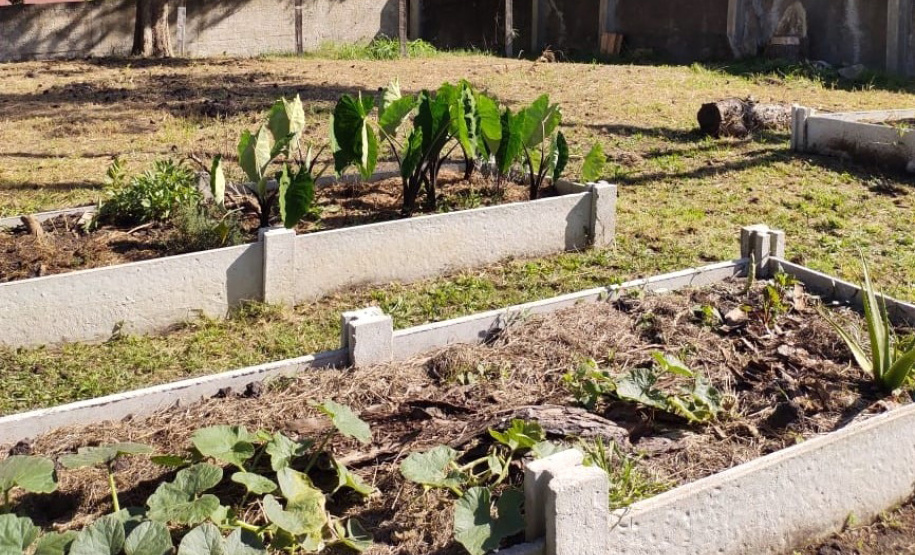 Sistema de captação de água da chuva, jardim das sensações, auditório ao ar livre feito com bambu, composteira, banco com gerador de energia solar para carregar equipamentos eletrônicos