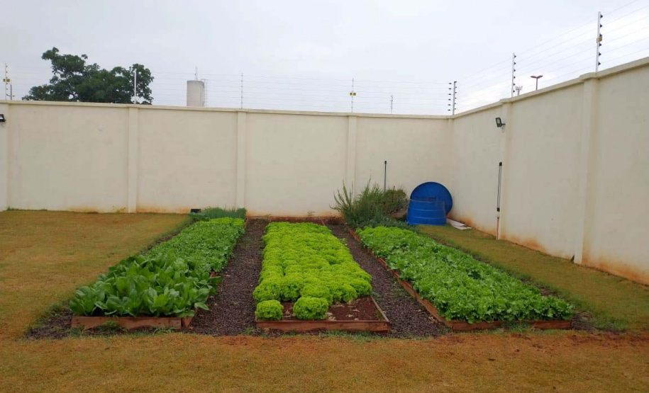 Secretaria de Justiça reforça investimentos no Departamento Socioeducativo para dar uma nova oportunidade a adolescentes em conflito com a lei. Foto:SEJUF