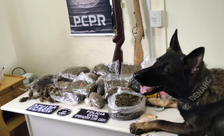 A Polícia Civil do Paraná (PCPR) prendeu 12 integrantes de organização criminosa envolvida no tráfico de drogas, na manhã desta terça-feira (1), em Jaguariaíva e Sengés, na região dos Campos Gerais. As prisões em flagrante ocorreram durante o cumprimento de 18 mandados de busca e apreensão, resultantes de investigações de alta complexidade.  - Sengés, 01/06/2021  -  Foto: PCPR