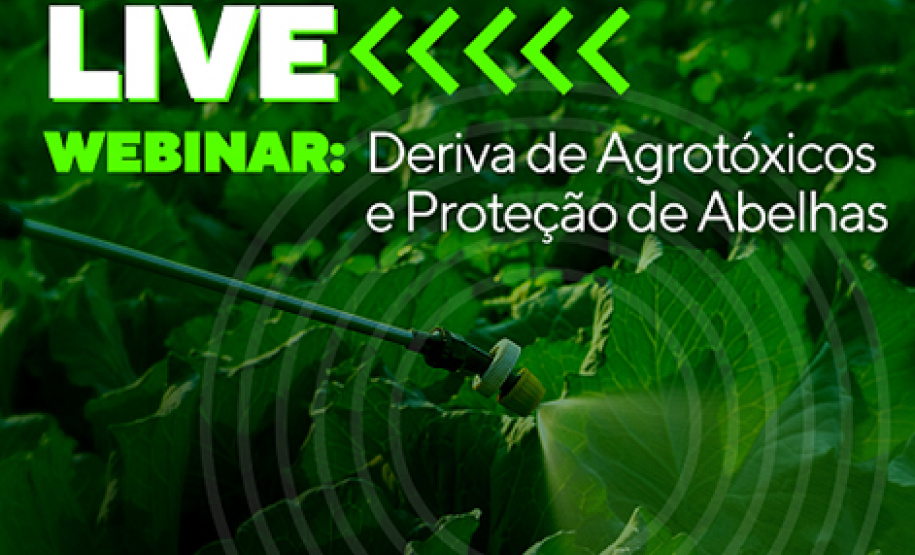 Webinar Adapar sobre Deriva de Agrotóxicos e Proteção de Abelhas em Junho -  Curitiba, 01/06/2021  -  Foto: Crea-PR