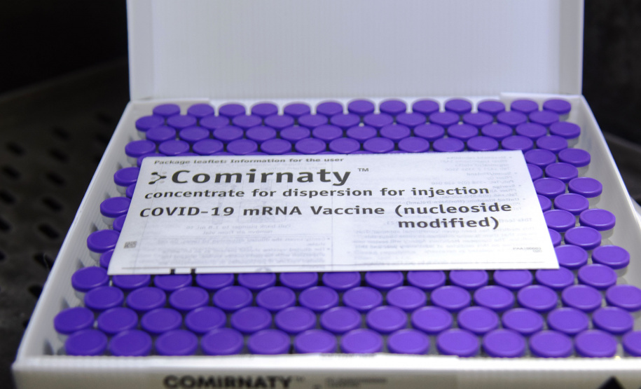 Vacina Pfizer - Foto: Américo Antonio/SESA