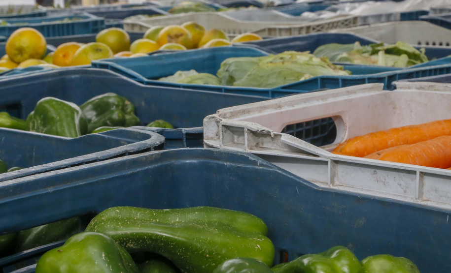 Governo divulga habilitação final do Compra Direta Paraná
. Foto: Gilson Abreu/AEN