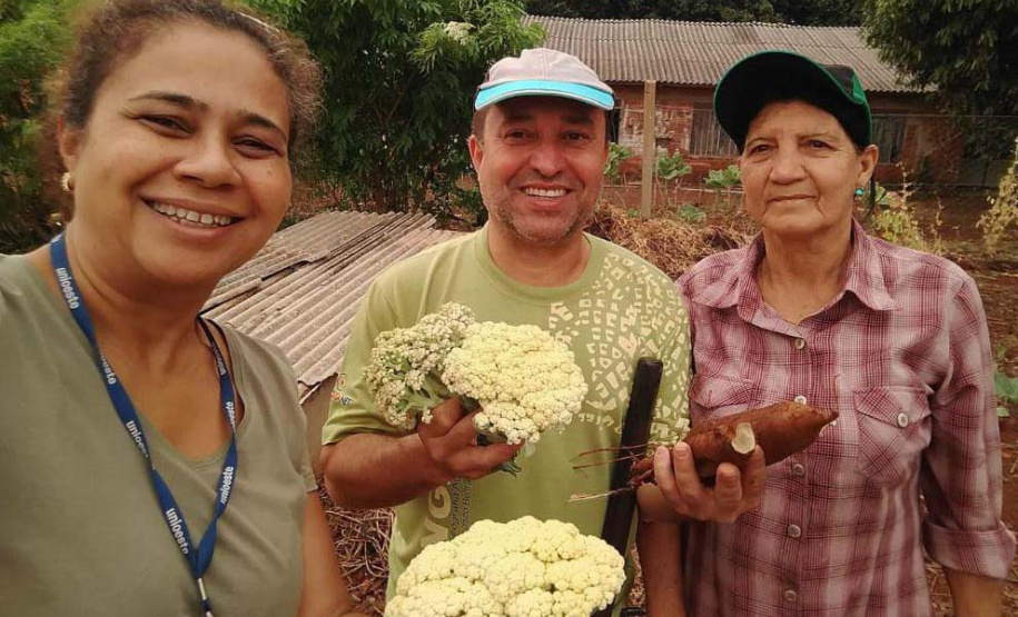 Pesquisadores da Unioeste desenvolvem horta comunitária com plantas medicinais
Caixa de entrada. (foto de antes da pandemia). Foto: Unioeste