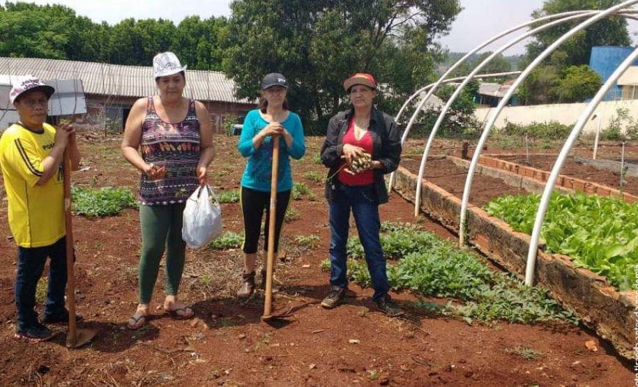 Pesquisadores da Unioeste desenvolvem horta comunitária com plantas medicinais
Caixa de entrada. (foto de antes da pandemia). Foto: Unioeste