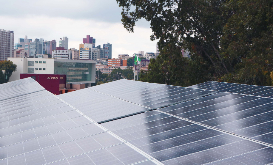 Ações sustentáveis e sistemas da Celepar ajudam na preservação do meio ambiente. Foto: Celepar