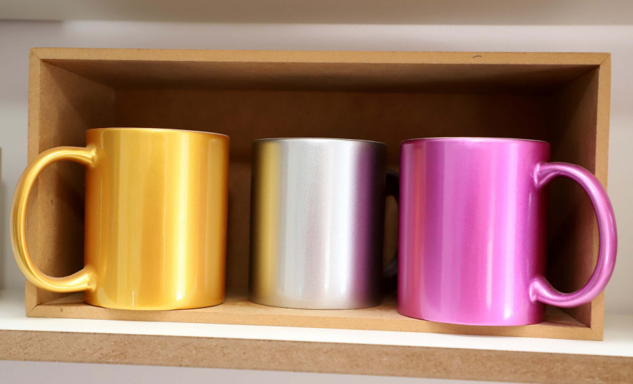 Plataforma digital leva microcrédito da Fomento Paraná a todo o Estado. Foto: Ari Dias/AEN