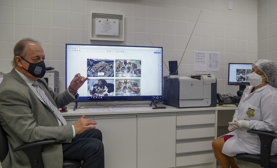 Peritos do Paraná usam antropologia forense para desvendar crimes; conheça o trabalho. Dr. Porcídio Vilani, Chefe do núcleo de antropologia forense do IML de Curitiba.
Foto : Gilson Abreu/AEN