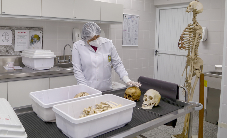 Peritos do Paraná usam antropologia forense para desvendar crimes; conheça o trabalho.
Foto : Gilson Abreu/AEN