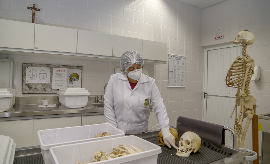 Peritos do Paraná usam antropologia forense para desvendar crimes; conheça o trabalho.
Foto : Gilson Abreu/AEN
