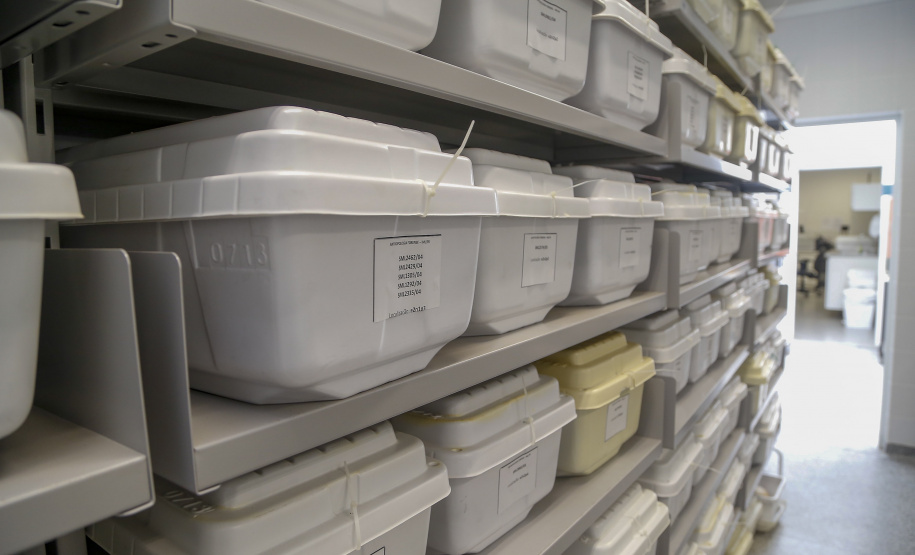 Peritos do Paraná usam antropologia forense para desvendar crimes; conheça o trabalho.
Foto : Gilson Abreu/AEN