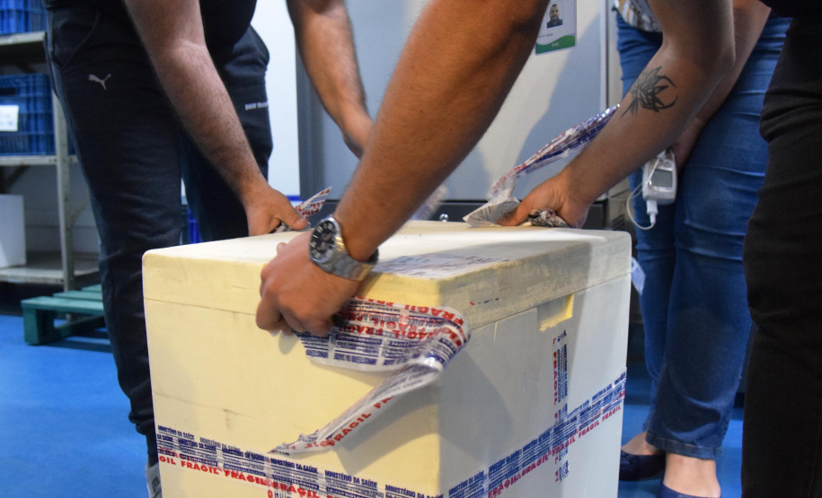 Mais uma leva de vacina Cominarty, produzida pela Pfizer/BioNTech, chegou ao Paraná nesta quinta-feira (3). O lote de 37.440 doses foi recebido às 13h20 no Aeroporto Internacional Afonso Pena, em São José dos Pinhais, na Região Metropolitana de Curitiba, e seguiu para conferência no Centro de Medicamentos do Paraná (Cemepar), onde chegou às 13h50. - Curitiba, 03/06/2021 - Foto: Américo Antonio/SESA