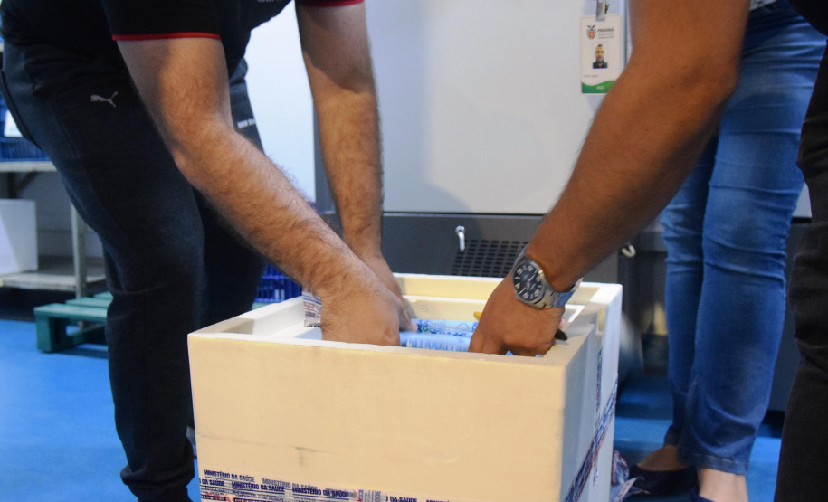 Mais uma leva de vacina Cominarty, produzida pela Pfizer/BioNTech, chegou ao Paraná nesta quinta-feira (3). O lote de 37.440 doses foi recebido às 13h20 no Aeroporto Internacional Afonso Pena, em São José dos Pinhais, na Região Metropolitana de Curitiba, e seguiu para conferência no Centro de Medicamentos do Paraná (Cemepar), onde chegou às 13h50. - Curitiba, 03/06/2021 - Foto: Américo Antonio/SESA