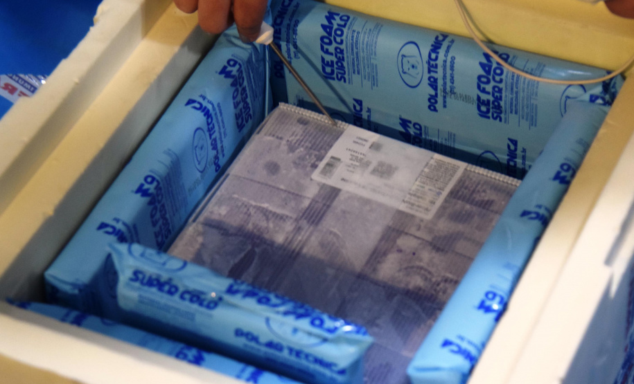 Mais uma leva de vacina Cominarty, produzida pela Pfizer/BioNTech, chegou ao Paraná nesta quinta-feira (3). O lote de 37.440 doses foi recebido às 13h20 no Aeroporto Internacional Afonso Pena, em São José dos Pinhais, na Região Metropolitana de Curitiba, e seguiu para conferência no Centro de Medicamentos do Paraná (Cemepar), onde chegou às 13h50. - Curitiba, 03/06/2021 - Foto: Américo Antonio/SESA