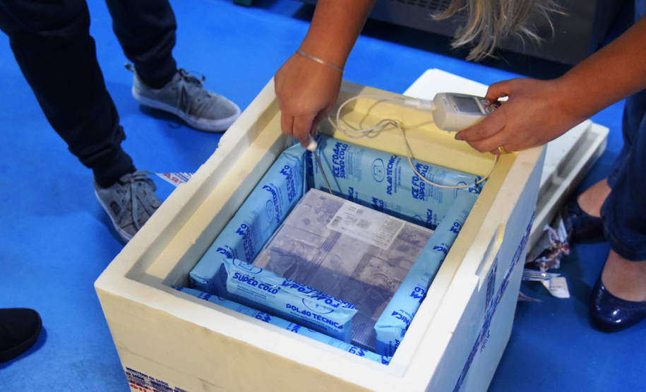 Mais uma leva de vacina Cominarty, produzida pela Pfizer/BioNTech, chegou ao Paraná nesta quinta-feira (3). O lote de 37.440 doses foi recebido às 13h20 no Aeroporto Internacional Afonso Pena, em São José dos Pinhais, na Região Metropolitana de Curitiba, e seguiu para conferência no Centro de Medicamentos do Paraná (Cemepar), onde chegou às 13h50. - Curitiba, 03/06/2021 - Foto: Américo Antonio/SESA