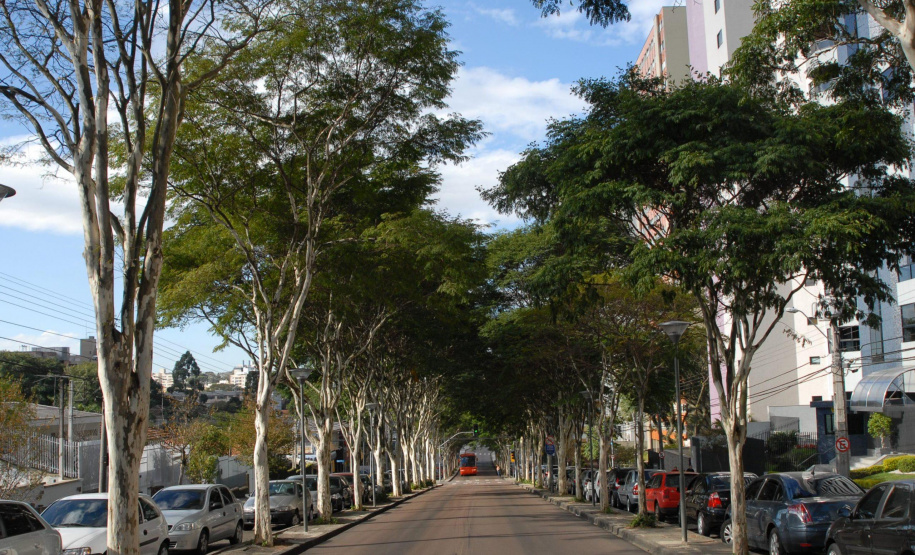 Para garantir a convivência harmoniosa e duradoura entre árvores e rede elétrica nos centros urbanos, a Copel mantém o Programa Florestas Urbanas, criado em 2007 e reformulado em 2015 para dar apoio aos municípios paranaenses no planejamento da arborização de ruas.  -  Curitiba, 04/06/2021  -  Foto: Copel