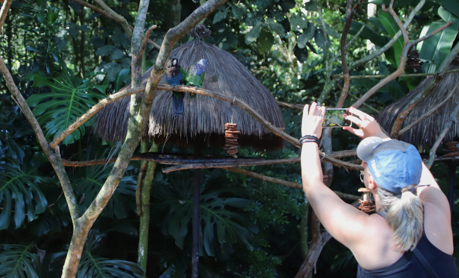 Parque das aves, Foz do Iguaçu. Foto: José Fernando Oura/AEN