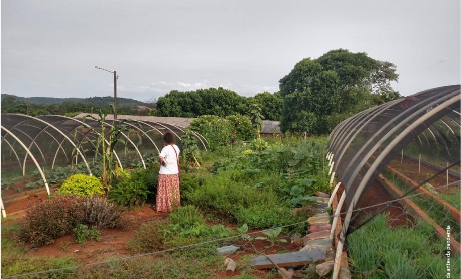Projeto da Unioeste organiza e dá visibilidade ao trabalho de mulheres agricultoras. Foto: UNIOESTE