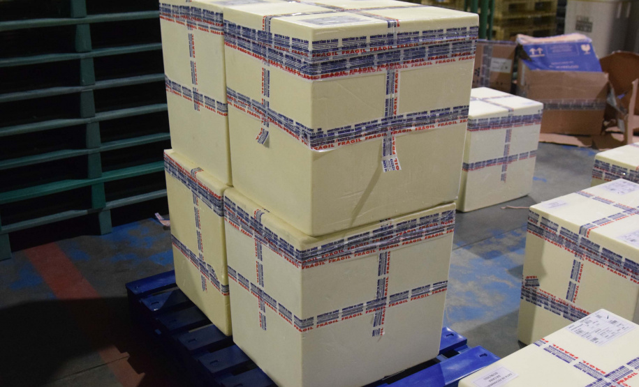 Foto: Américo Antonio/SESA