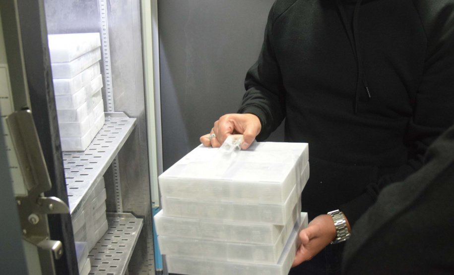 Foto: Américo Antonio/SESA