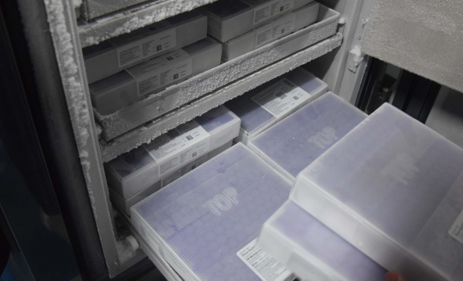 Foto: Américo Antonio/SESA