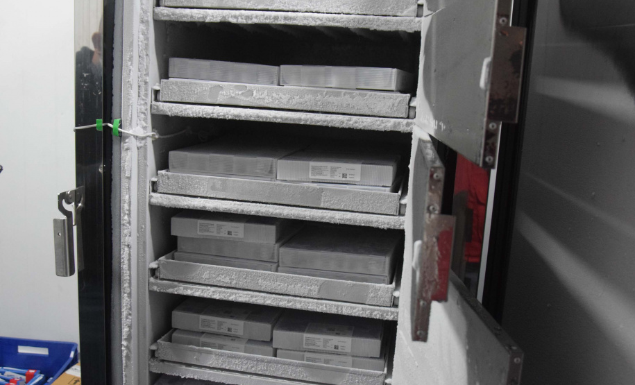 Foto: Américo Antonio/SESA