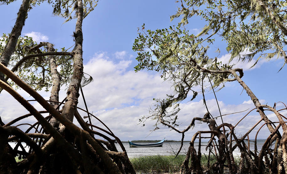 No Dia Mundial dos Oceanos, comemorado nesta terça-feira (8), a Portos do Paraná reforça o compromisso com a preservação do ambiente, que ocupa 71% da superfície da Terra, é importante para a atividade econômica de milhões de famílias, além de ajudar a regular o clima do planeta. - Paranaguá, 08/06/2021 - Foto: Claudio Neves/Portos do Paraná