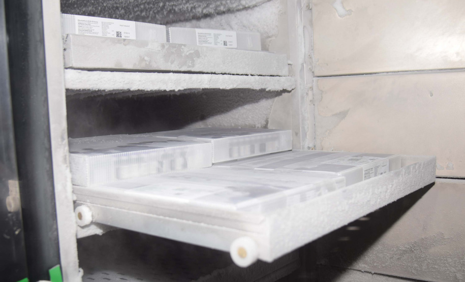 Paraná separa 20 mil doses para imunizar trabalhadores do Ensino Superior. Foto: Américo Antonio/SESA