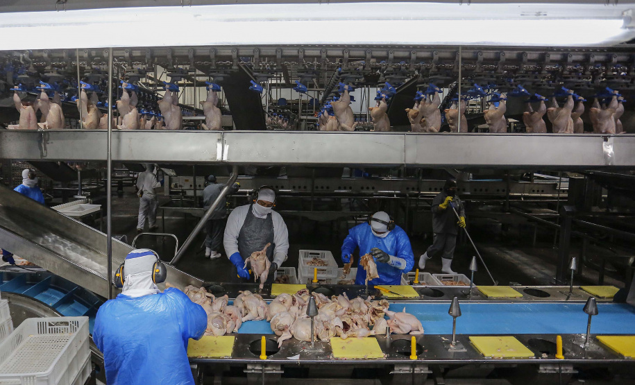 Foto : Jonathan Campos / AEN