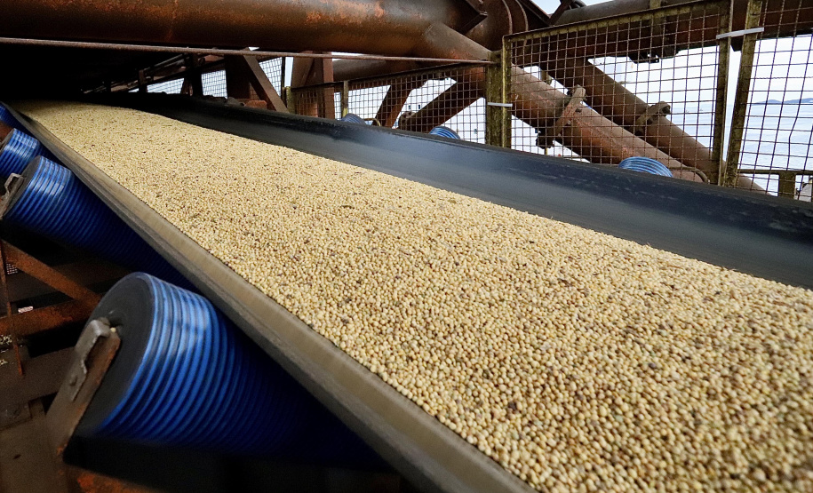 Portos do Paraná movimentam 6 milhões de toneladas e têm melhor mês da história - Foto: Cláudio Neves/Portos do Paraná