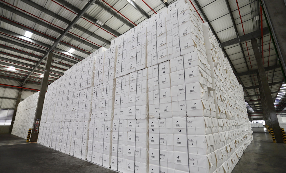 Portos do Paraná movimentam 6 milhões de toneladas e têm melhor mês da história - Foto: Cláudio Neves/Portos do Paraná