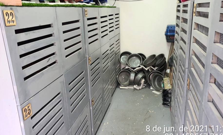 A Rondas Ostensivas Tático Móvel (ROTAM) do Batalhão de Polícia Ambiental-Força Verde (BPAmb-FV) lavrou uma multa de R$ 13,4 mil e um Termo Circunstanciado para um homem que mantinha 57 ouriços africanos dentro de casa em Guarapuava (PR). A PM chegou até ele graças a uma denúncia anônima na terça-feira (08/06). Os animais foram entregues ao Instituto Água e Terra (IAT) para a destinação correta. - Guarapuava, 08/06/2021 - Foto: SESP/PR