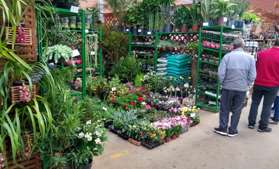 Com a publicação do Decreto Municipal, 960/2021, no combate a Covid-19, agora com a bandeira laranja, mas ainda em estado de alerta, o Mercado de Flores da Ceasa Curitiba volta a atender normalmente a partir desta quinta-feira (9/06), funcionando das 6 as 14 horas. - Curitiba, 09/06/2021 - Foto: CEASA-PR