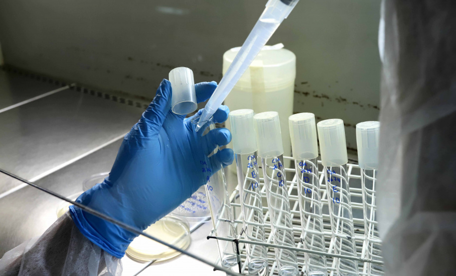 Governo do Estado destina mais de R$ 14 milhões à iniciação científica e extensionista. Foto: Arnaldo Alves/Arquivo AEN